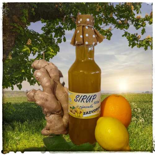 sirup z rymovniku zazvorovy